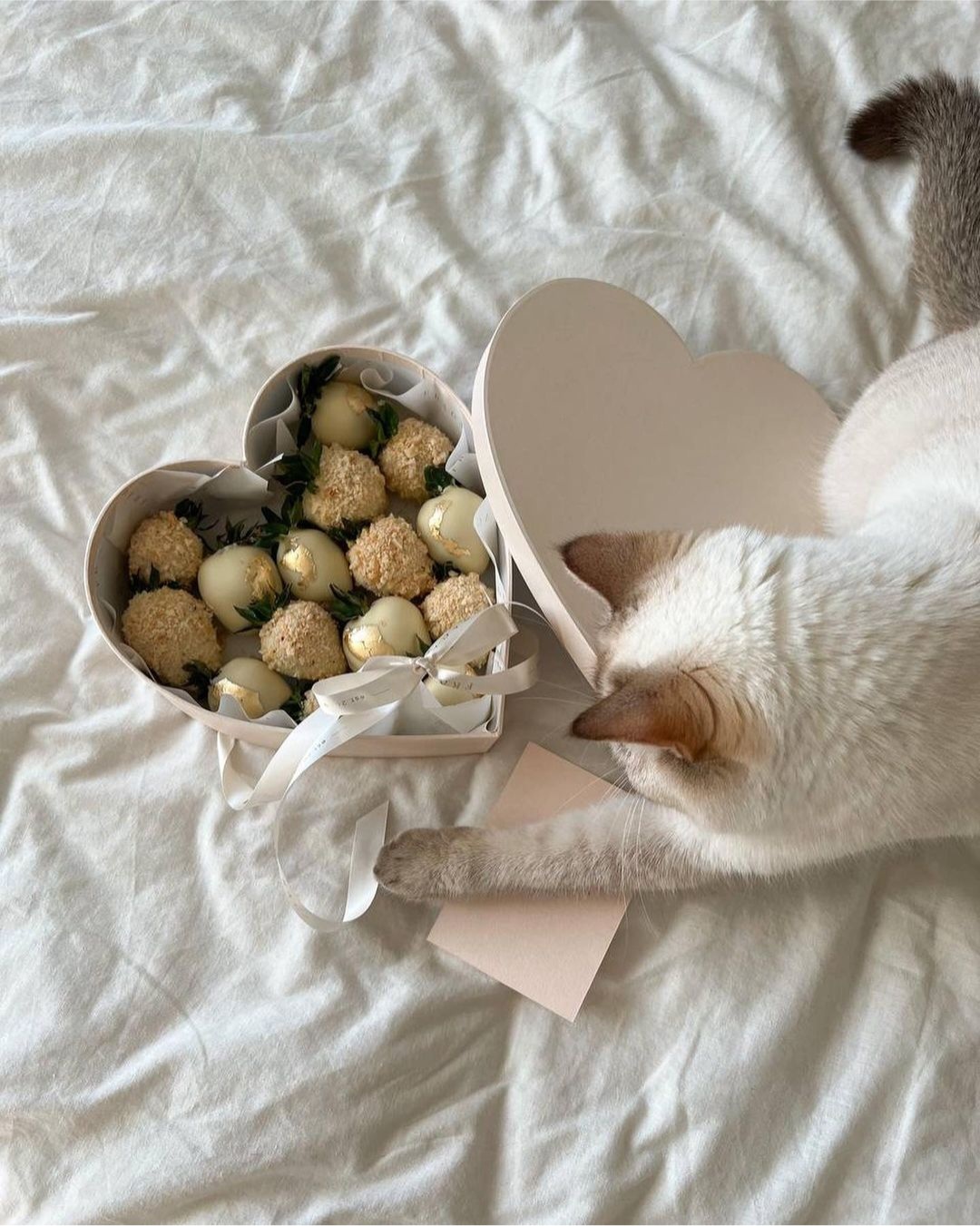 Бізнес на полуниці в шоколаді. Як 26-річна одеситка під обстрілами радує українців смаколиками